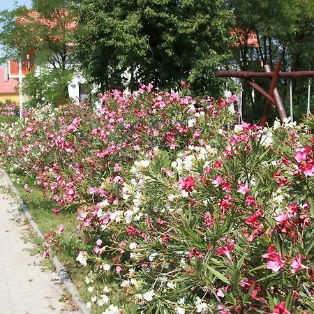 Rabensteiner Panzio 3* Fertőd