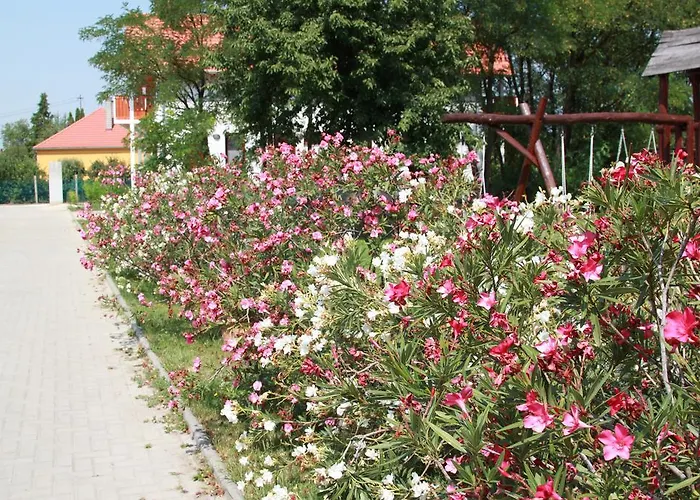 Rabensteiner Panzio 4* Fertőd